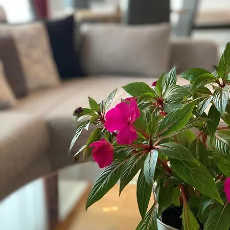 Apartman Little Heaven *